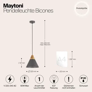 Подвесной светильник Maytoni P359-PL-220-C
