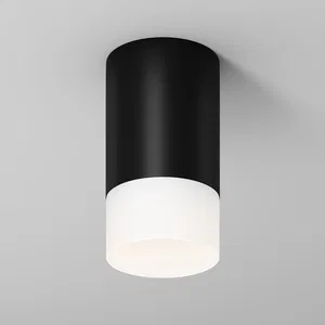Уличный потолочный светильник Outdoor O499CL-L10B3K