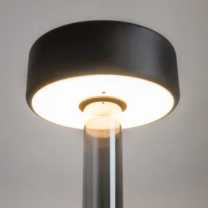 Аккумуляторный светильник Maytoni MOD229TL-L3B3K3