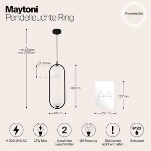 Подвесной светильник Maytoni MOD013PL-02B