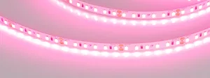 Лента RT-A120-8mm 24V Pink (9.6 W/m, IP20, 2835, 5m) (Arlight, -)