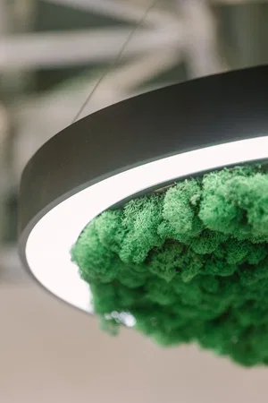 Светильник HOKASU Halo Moss (RAL9003/D625/LT70 — 3K/59W/120deg)