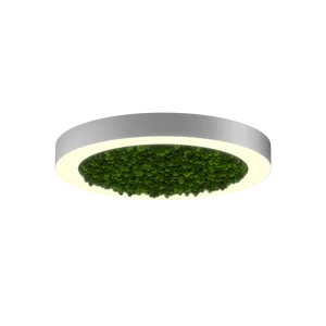 Модульный светильник HOKASU Halo Moss (кольцо со мхом)