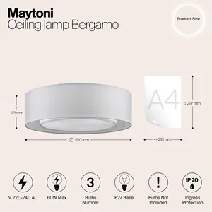 Потолочный светильник Maytoni MOD617CL-04GR
