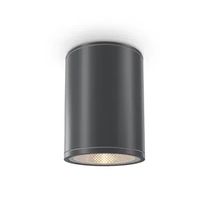 Уличный потолочный светильник Outdoor O306CL-L7GF