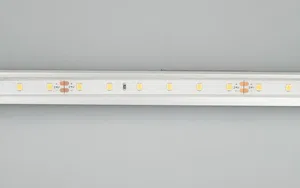 Лента герметичная RTW-PFS-A60-11mm 24V Warm3000 (4.8 W/m, IP68, 2835, 5m) (Arlight, 4.8 Вт/м, IP68)
