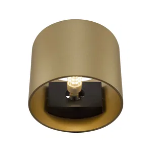 Настенный светильник (бра) Maytoni C066WL-01MG