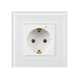 Розетка электрическая с Zigbee управлением SCT-OMALI-EUZB1-PL-WH (240V, 16A, Zigbee) (Arlight, -)