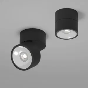 Уличный потолочный светильник Outdoor O310CL-L12GF3K