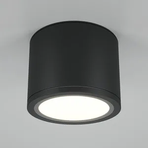 Потолочный светильник Technical C095CL-GX53-GR