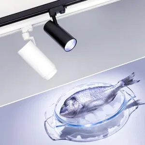 Светильник LGD-ZEUS-4TR-R100-30W Cool SP7500-Fish (BK, 20-60 deg, 230V) (Arlight, IP20 Металл, 3 года)