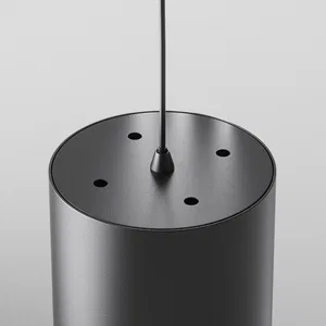 Подвесной светильник Maytoni P088PL-GX53-B
