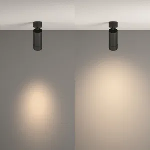 Потолочный светильник Technical C055CL-L12W4K-Z-B