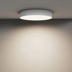 Потолочный светильник Technical C032CL-45W4K-RD-W