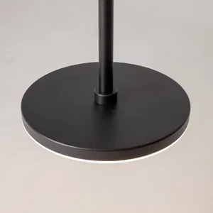Подвесной светильник Maytoni P076PL-L12W4K-B