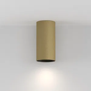 Потолочный светильник Technical C080CL-01-GU10-MG