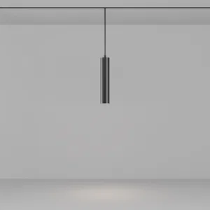 Трековый подвесной светильник Technical TR016-2-12W4K-B-1