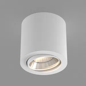 Светильник SP-FOCUS-R140-30W Day White (Arlight, IP20 Металл, 3 года)