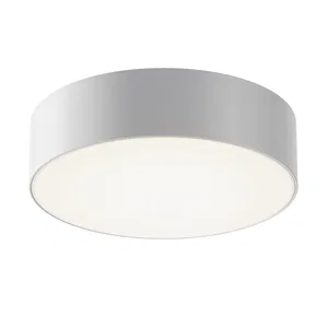 Уличный потолочный светильник Outdoor O431CL-L30W4K