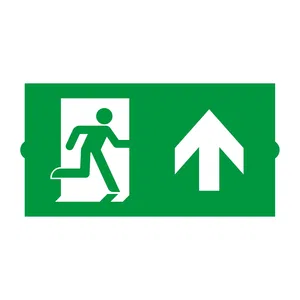 Пиктограмма EMGP-DIRECT-UP (Вверх) (Arlight, Пластик)