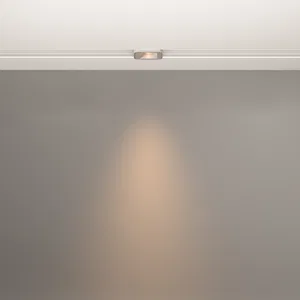 Трековый светильник Technical TR100-2-2W3K-S-W