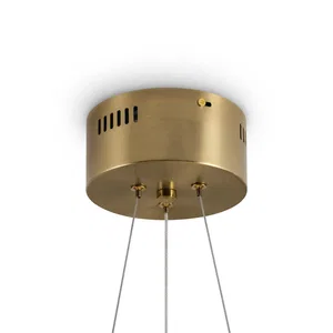Подвесной светильник Freya FR5591PL-L36BS
