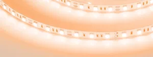 Лента RT-B60-10mm 12V Orange (14.4 W/m, IP20, 5060, 5m) (Arlight, Открытый)