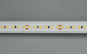 Лента IC2-20000 24V Warm2700 2x 12mm (2835, 120 LED/m, Long) (Arlight, 9.6 Вт/м, IP20)