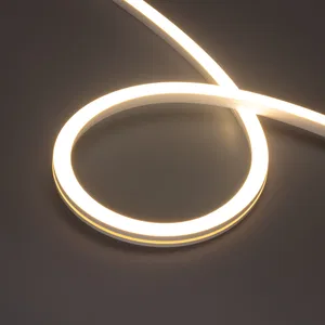 Лента герметичная MOONLIGHT-PRO-SIDE-X320-16x16mm 48V Warm3000 (10 W/m, IP67, 30m, wire x2) (Arlight, Вывод боковой, 7 лет)