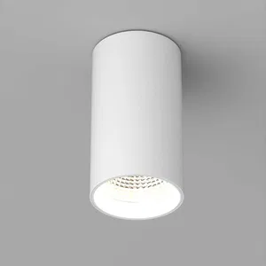 Светильник накладной SP-POLO-R85-1-15W Warm White 40deg (White, White Ring) (Arlight, IP20 Металл, 3 года)