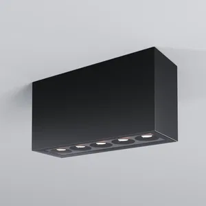 Уличный потолочный светильник Outdoor O309CL-L10GF3K