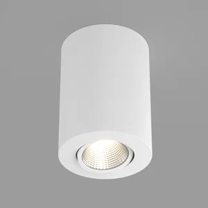 Светильник SP-FOCUS-R90-9W Day White (Arlight, IP20 Металл, 3 года)