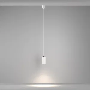 Подвесной светильник Maytoni P100PL-20W4K-W