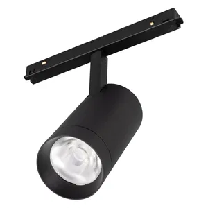 Светильник MAG-ORIENT-SPOT-R65-20W Day4000 (Черный, 24 deg, 48V, DALI) (Arlight, IP20 Металл, 5 лет)