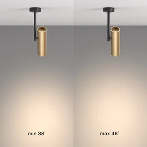 Потолочный светильник Technical C020CL-01GB
