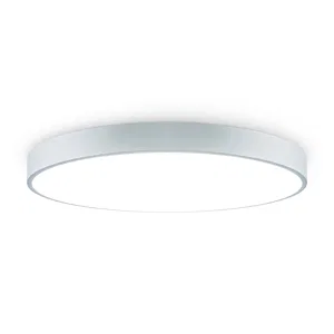 Потолочный светильник Freya FR6129CL-L80GR