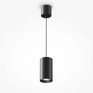 Подвесной светильник Maytoni P100PL-20W4K-B