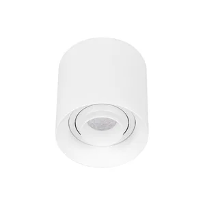Светильник SP-ACENTO-R95-10W Warm2700 (WH, 20-45 deg, 230V) (Arlight, IP20 Металл, 5 лет)