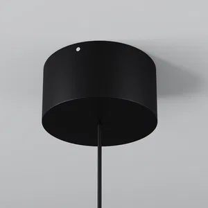 Уличный подвесной светильник Outdoor O491PL-L8B3K