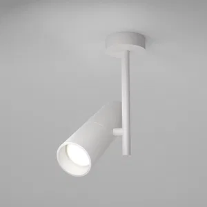 Потолочный светильник Technical C020CL-01W
