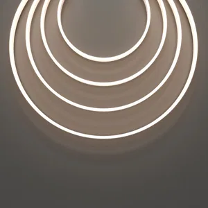 Гибкий неон Led Strip 432029