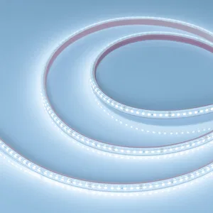 Лента RTW 2-5000PS 24V Cool 8K 2x (2835, 160 LED/m, LUX) (Arlight, 12 Вт/м, IP67)