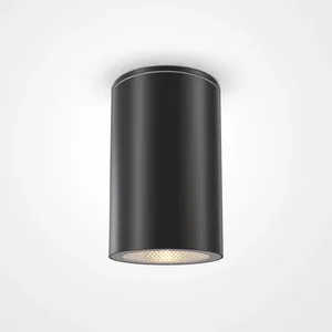 Уличный потолочный светильник Outdoor O307CL-01B