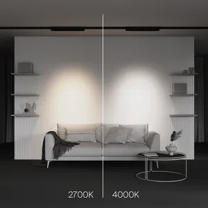Трековый светильник Technical TR195-3-20W2.7K-M-B