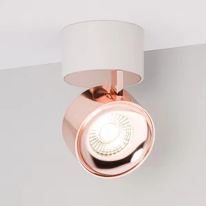 Светильник SP-PLURIO-SURFACE-R77-9W Day4000 (WH-COP, 36 deg, 230V) (Arlight, IP20 Металл, 3 года)