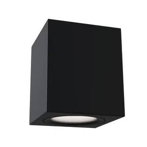 Потолочный светильник Technical C013CL-02B