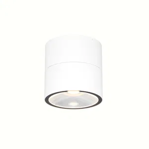 Уличный потолочный светильник Outdoor O310CL-L7W3K