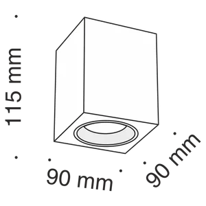 Потолочный светильник Technical C013CL-02W
