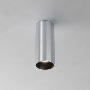 Потолочный светильник Technical C056CL-L12W2.7K-W-PT