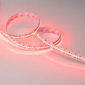 Лента RT-G240-12mm 24V RGB (18 W/m, IP20, 3838, 5m) (Arlight, Открытый)